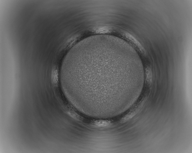 X0000112360549200908271255