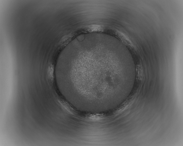 X0000112360550200908271255