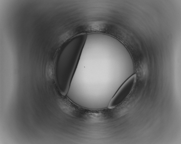 X0000112360552200908271255