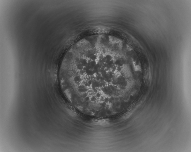 X0000112360553200908271255