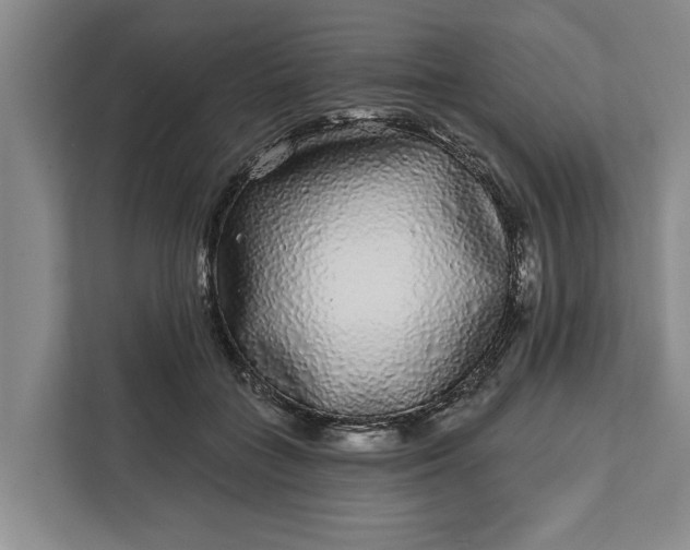 X0000112360555200908271255