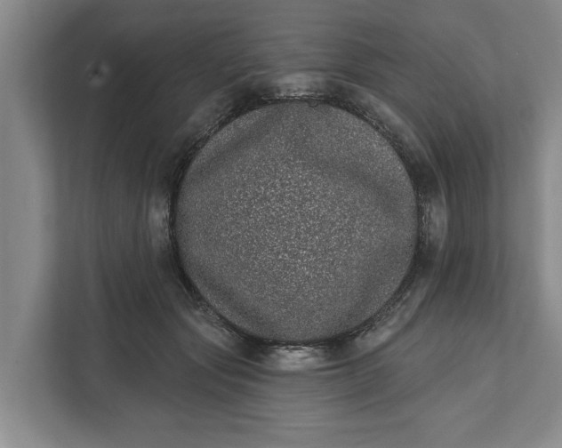 X0000112360557200908271255