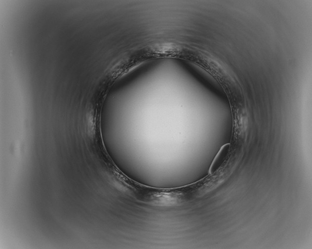 X0000112360558200908271255