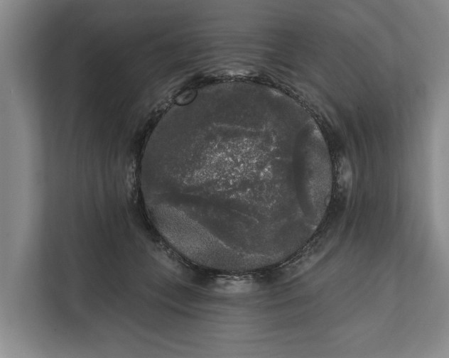 X0000112360559200908271255