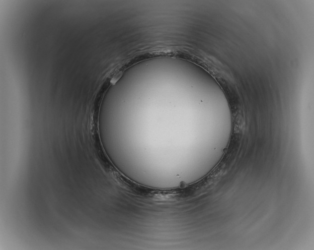 X0000112360560200908271255