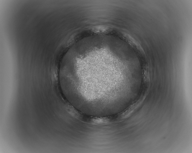 X0000112360561200908271255