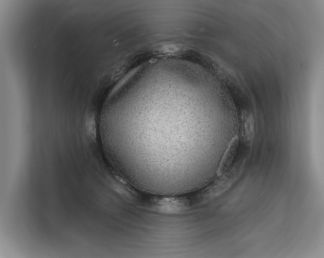 X0000112360562200908271255