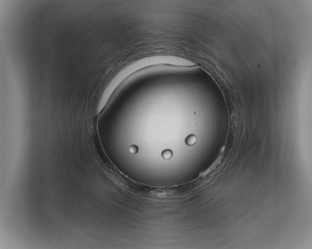 X0000112360564200908271255