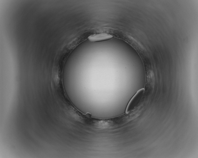 X0000112360566200908271255