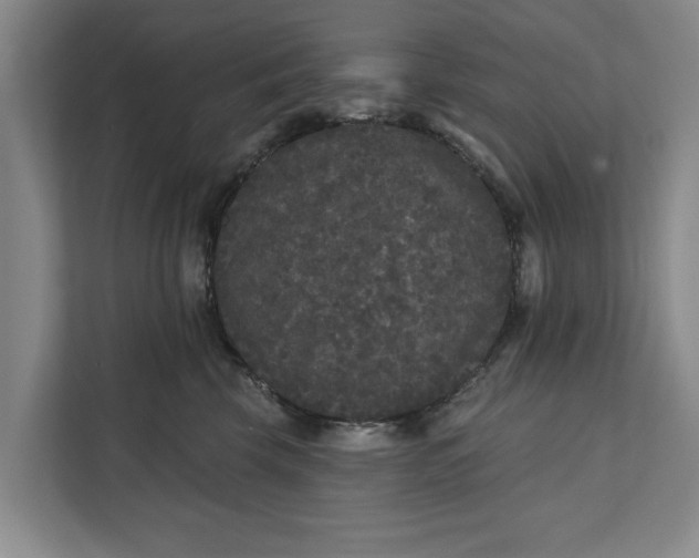 X0000112360569200908271255