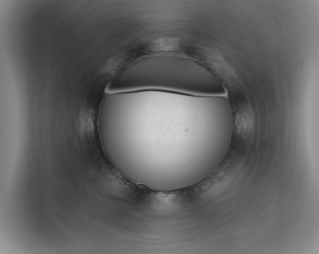 X0000112360570200908271255