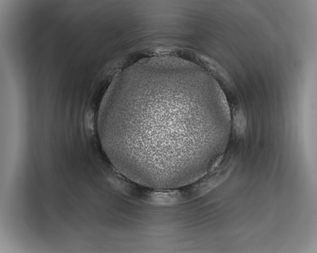 X0000112360571200908271255