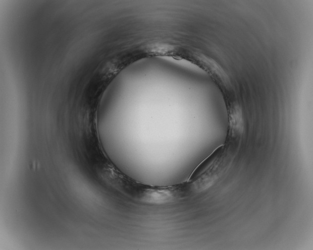 X0000112360572200908271255