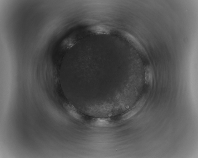 X0000112360573200908271255