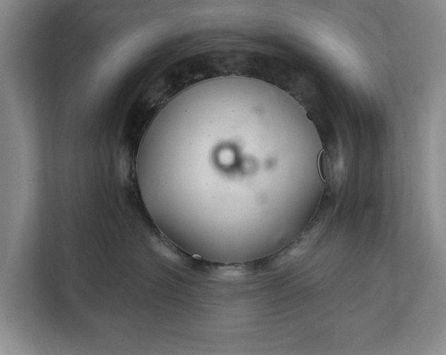 X0000112360574200908271255