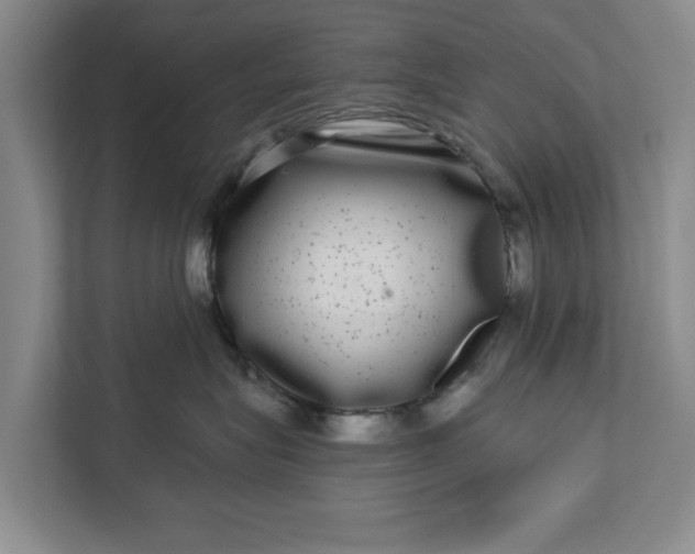 X0000112360575200908271255