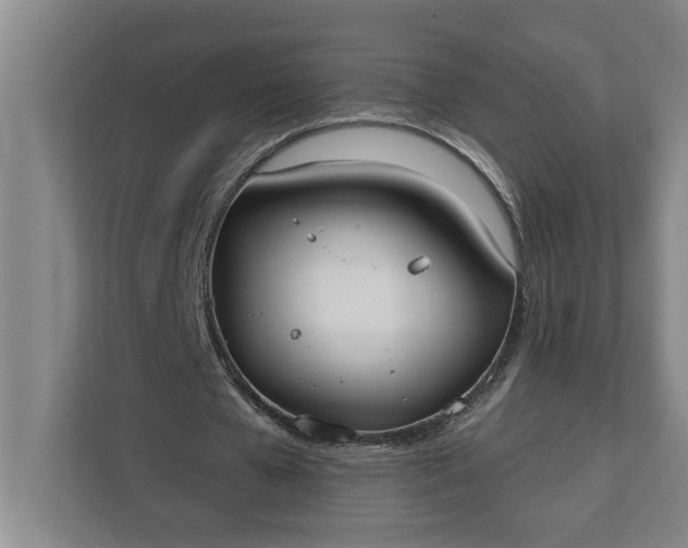 X0000112360577200908271255