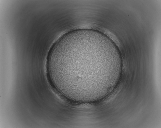 X0000112360578200908271255