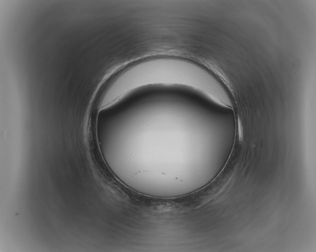 X0000112360579200908271255