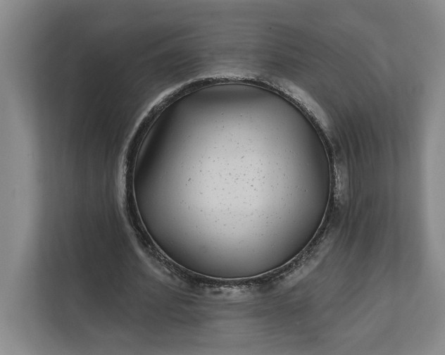 X0000112360580200908271255