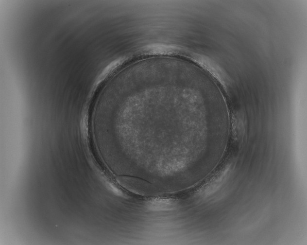 X0000112360581200908271255