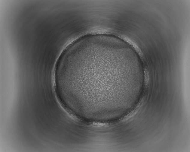 X0000112360582200908271255