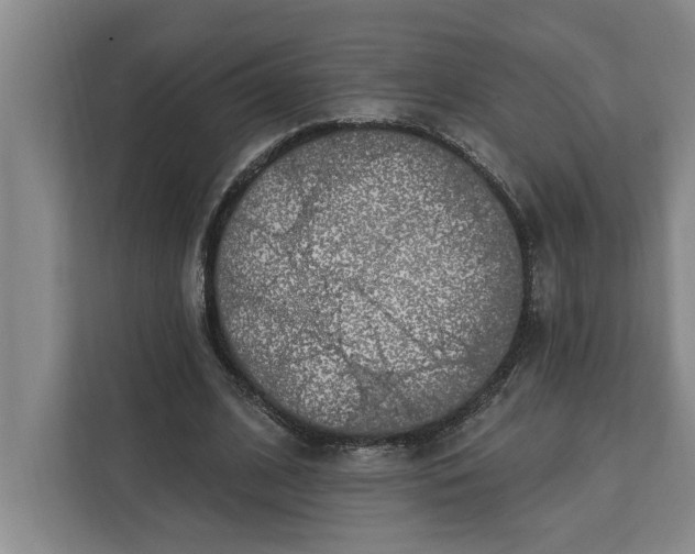 X0000112360584200908271255