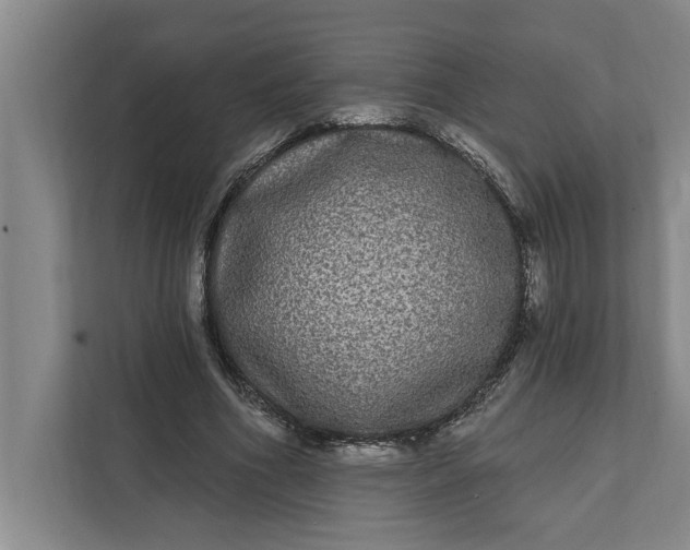 X0000112360586200908271255