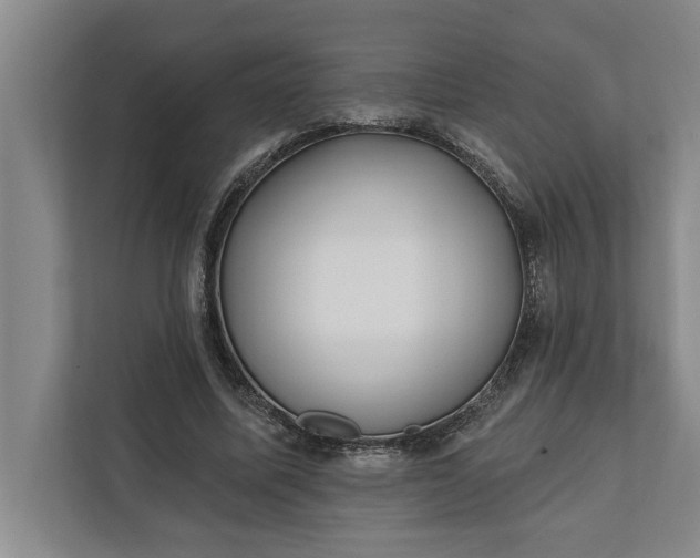 X0000112360587200908271255