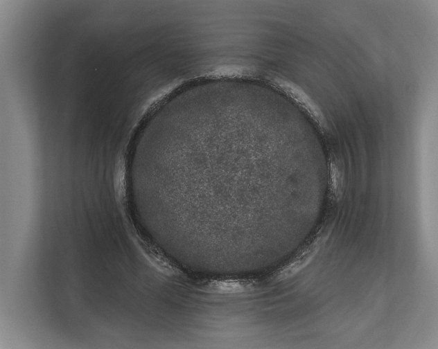 X0000112360588200908271255