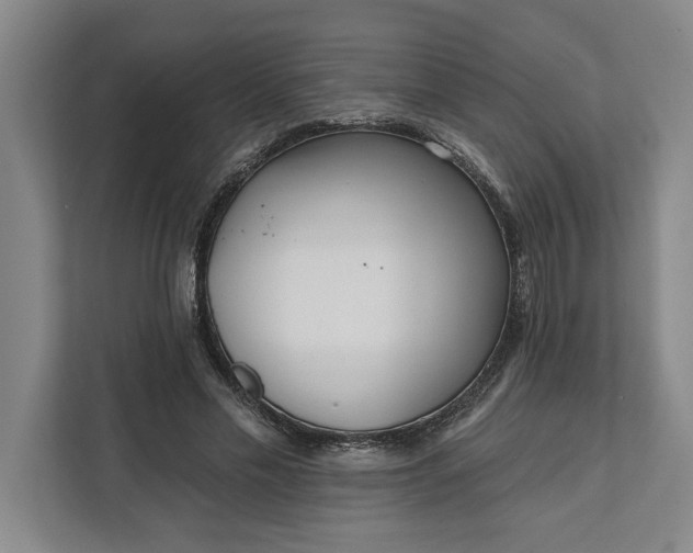 X0000112360589200908271255