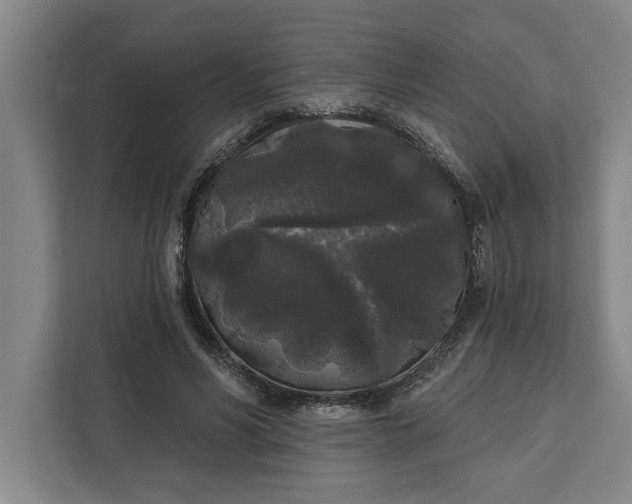 X0000112360590200908271255