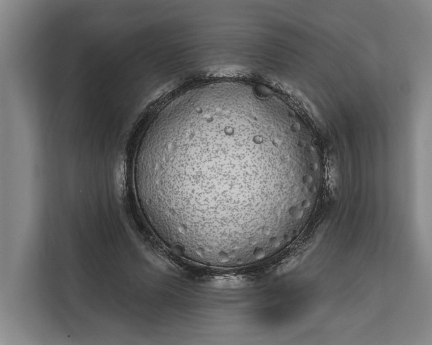 X0000112360591200908271255