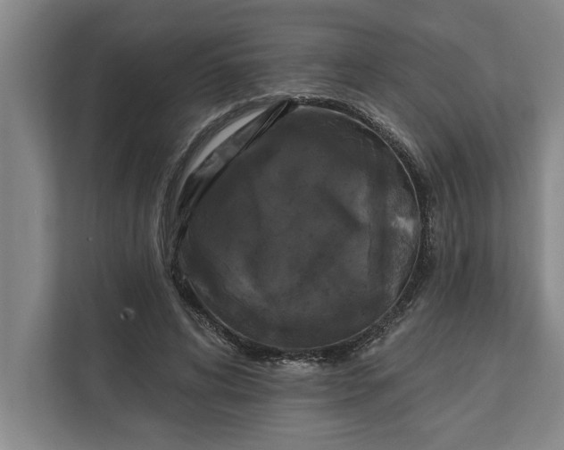 X0000112360592200908271255