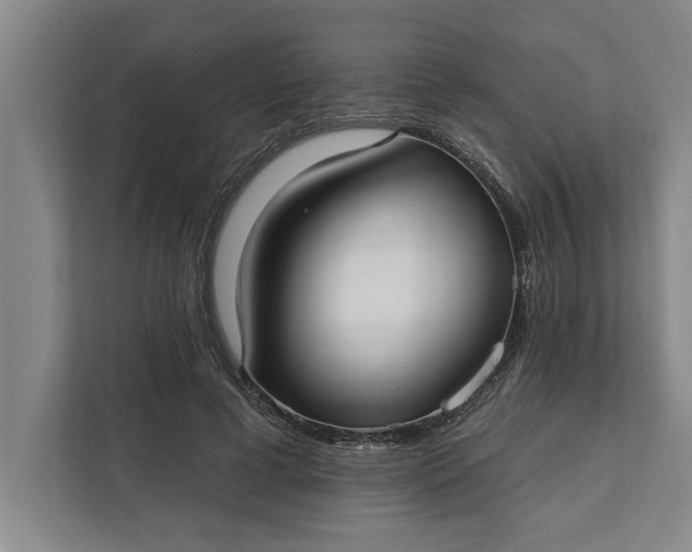 X0000112360593200908271255