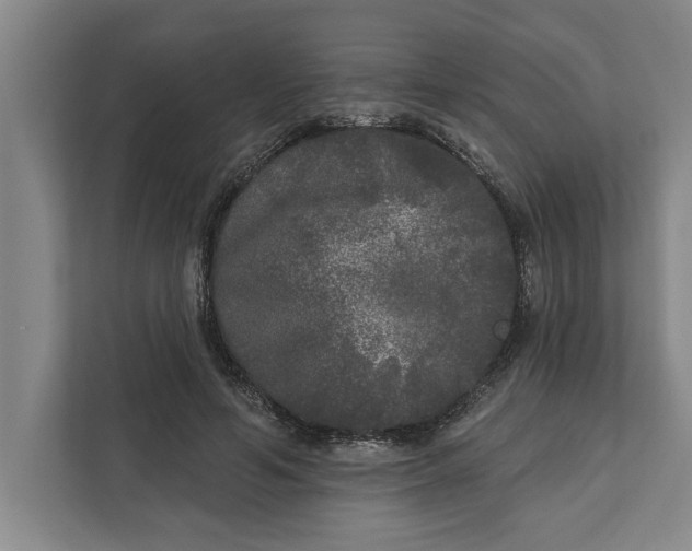 X0000112360594200908271255