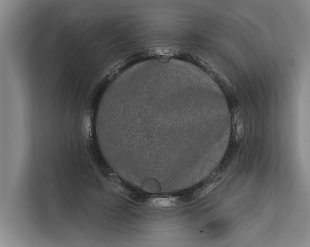 X0000112360595200908271255