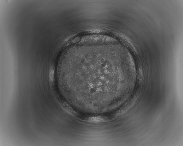 X0000112360596200908271255