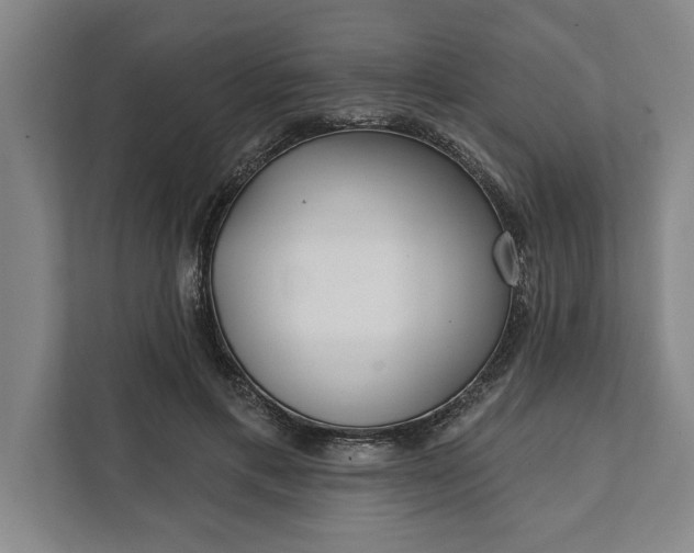 X0000112360597200908271255