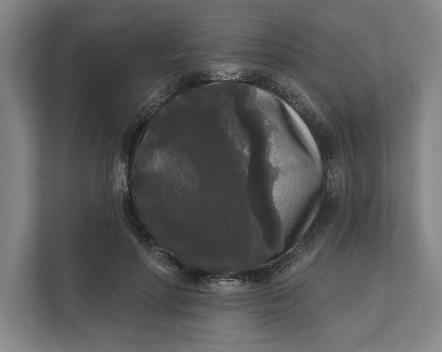 X0000112360598200908271255