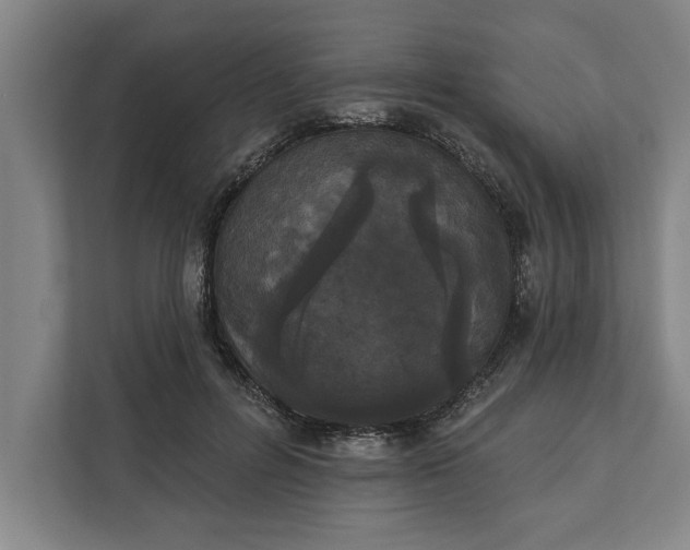 X0000112360600200908271255