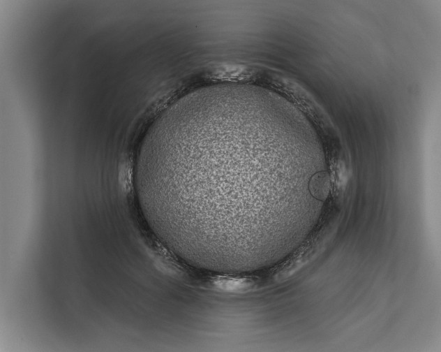 X0000112360602200908271255