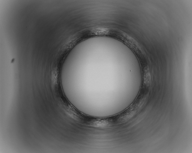 X0000112360604200908271255