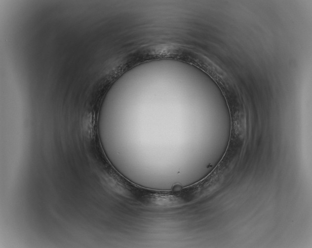 X0000112360605200908271255