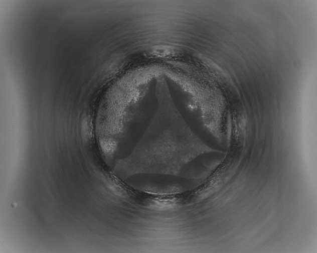 X0000112360606200908271254