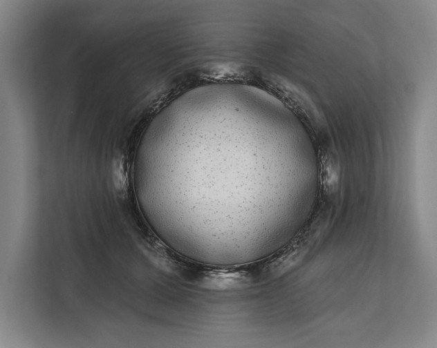 X0000112360607200908271254