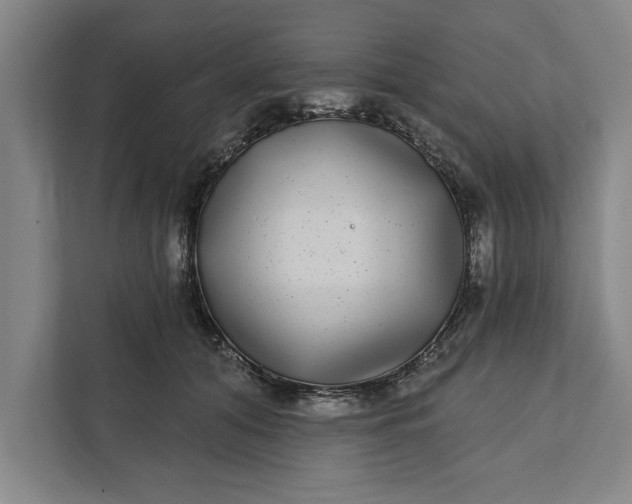 X0000112360608200908271254