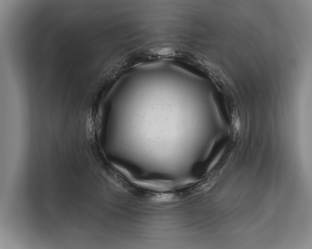 X0000112360609200908271254