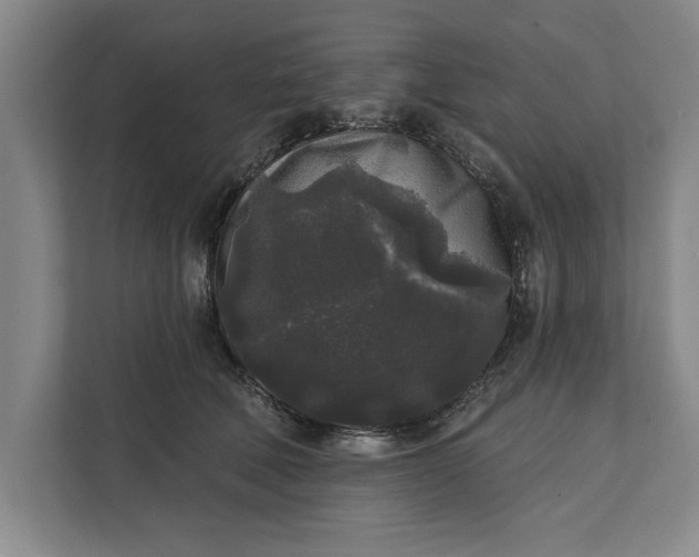 X0000112360610200908271254