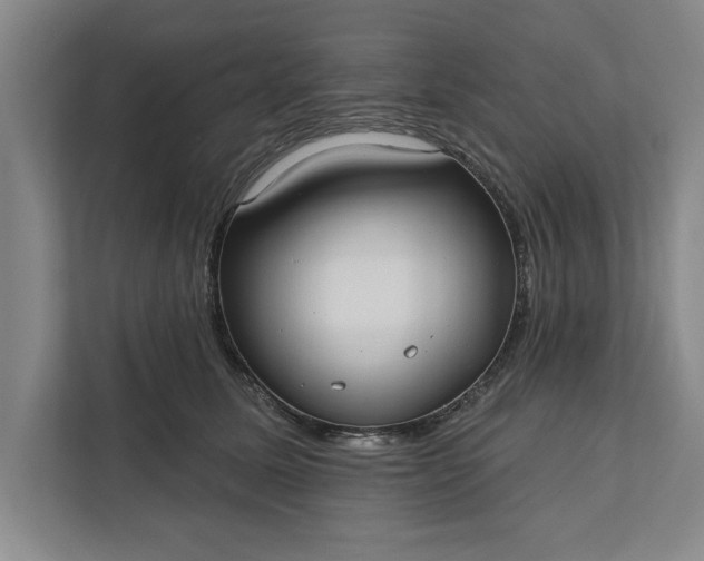 X0000112360611200908271254